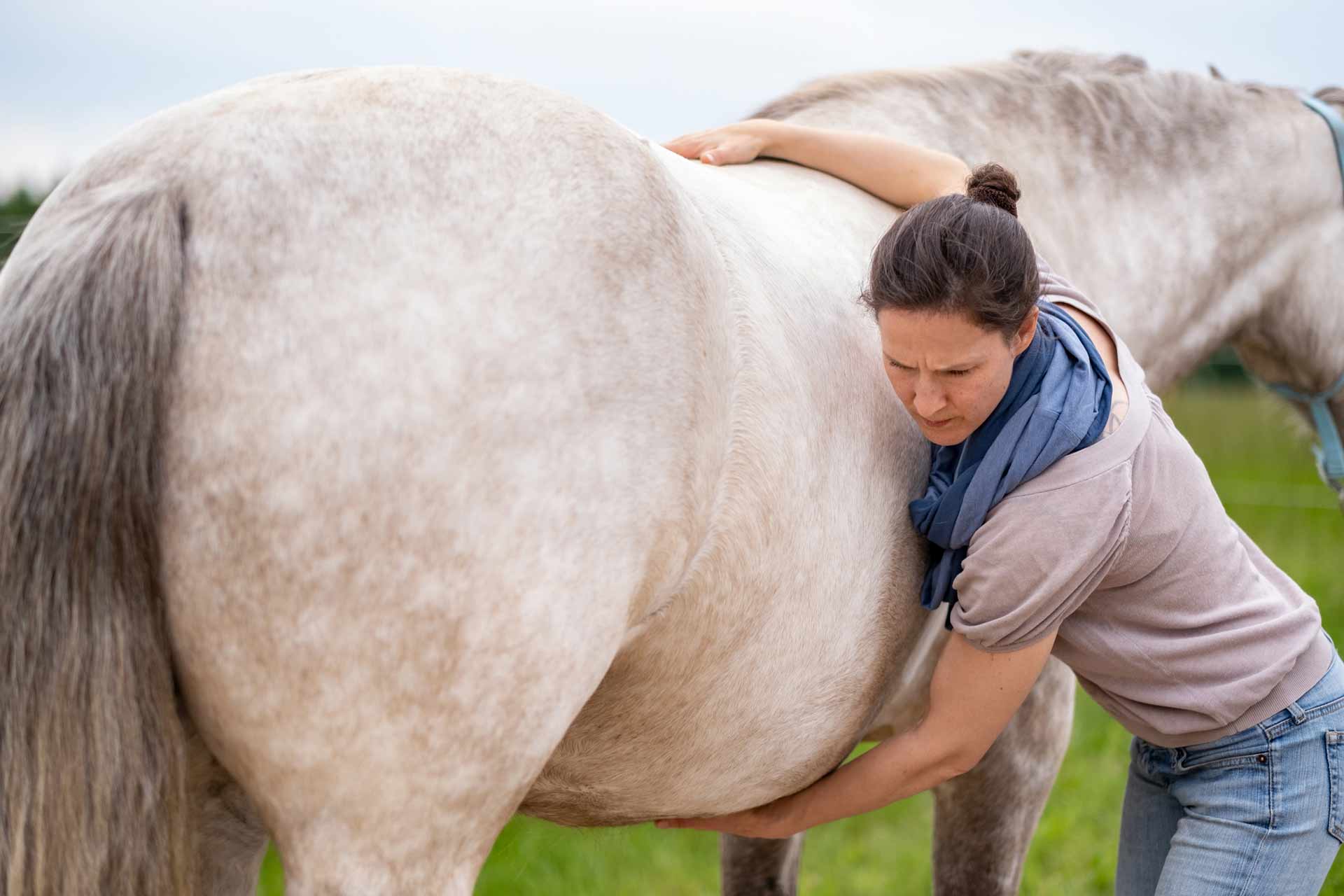 VPO Pferdeosteopathie Brittl Gossow